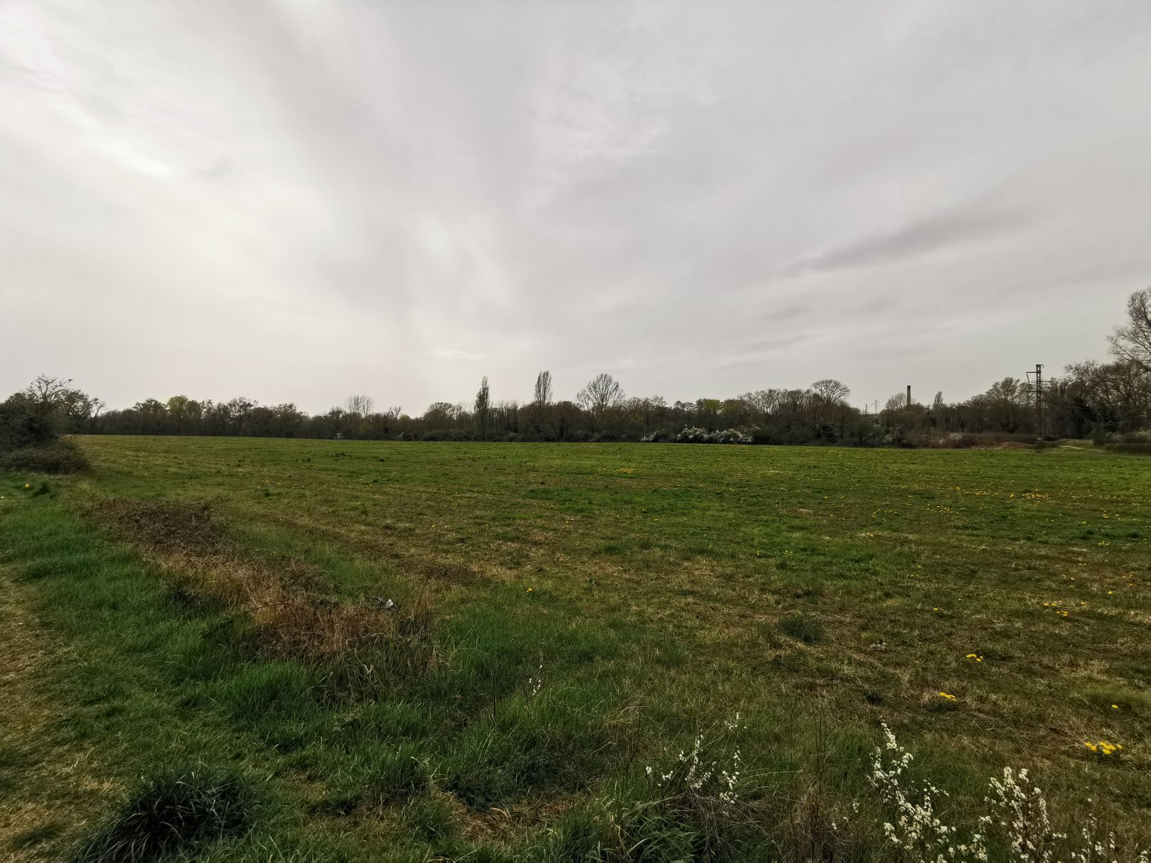 Maison 99.1 m² avec terrain à PONT-DE-CHERUY (38) 2