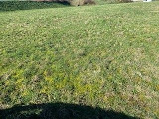 Maison neuve 105 m² à Crach (56950)
