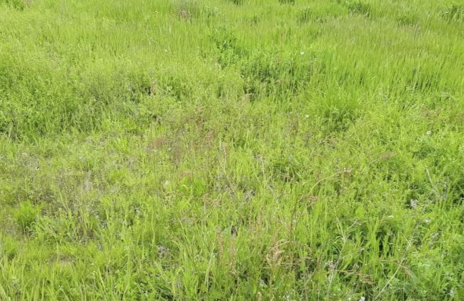 terrain à TIERCE