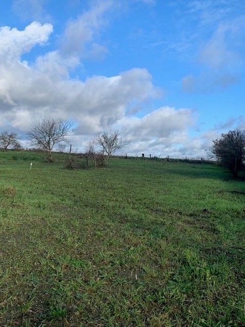 terrain constructible viabilisé à LEZIGNE (49430)