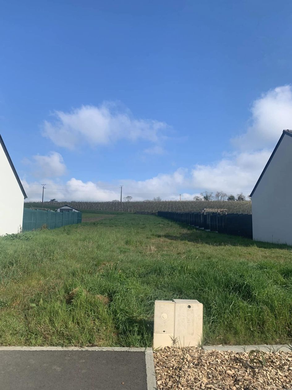 terrain à batir viabilisé de 1278m2 à MONTJEAN-SUR-LOIRE