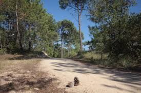 Charmant terrain constructible en vente à SAINT-JEAN-DE-MONTS (85160)