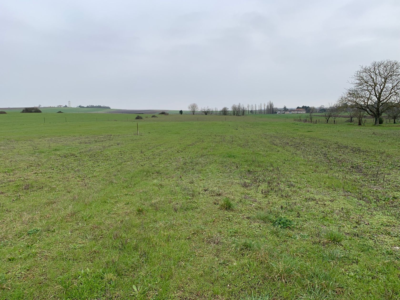 Maison neuve 81 m² à Berneuil (17460)