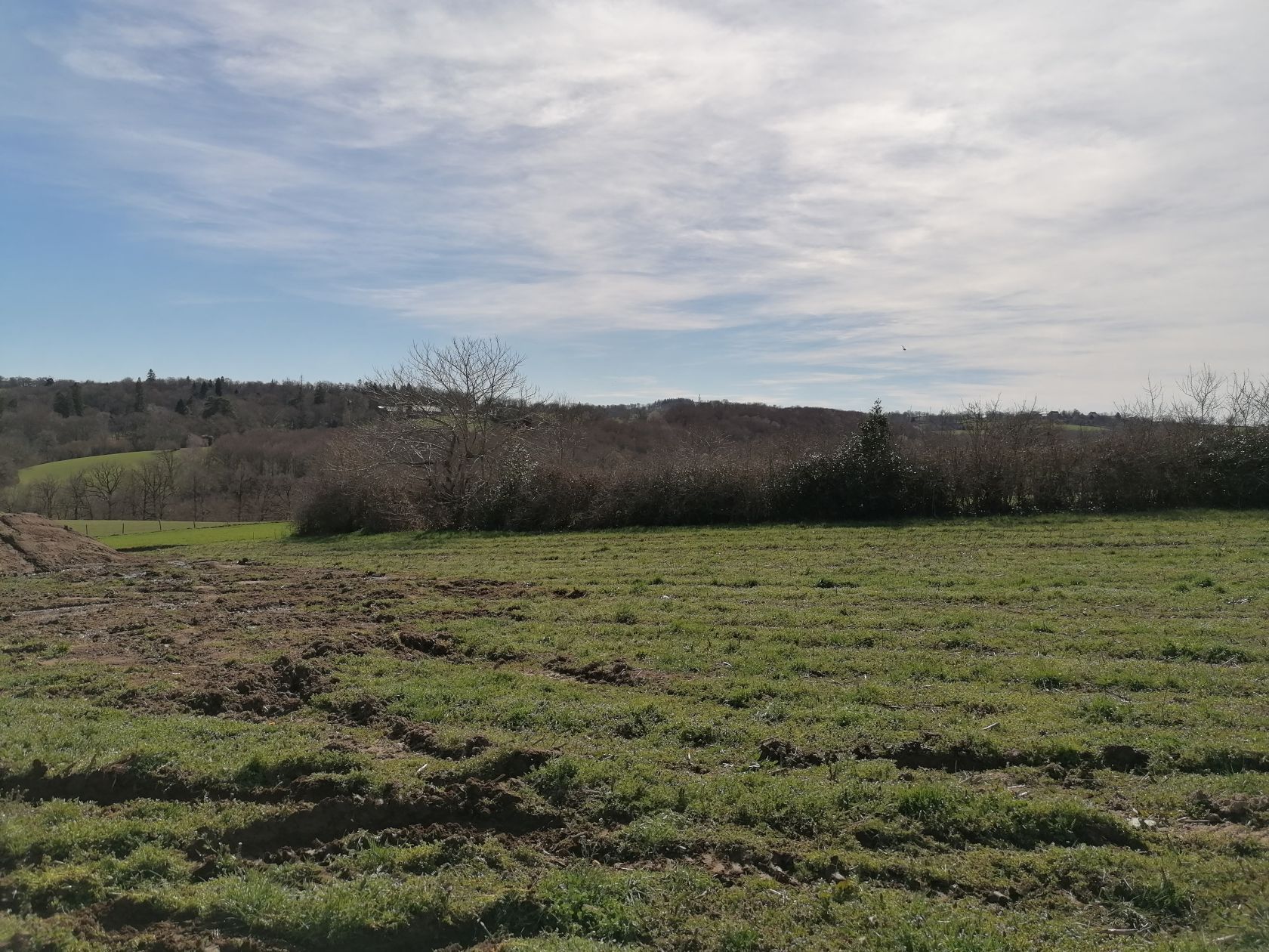 Charmant terrain viabilisé de 780m2 disponible à BARAQUEVILLE (12160)