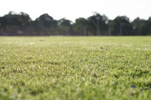 Sublime terrain constructible viabilisé disponible à CHAMPAGNE-SAINT-HILAIRE (86160)