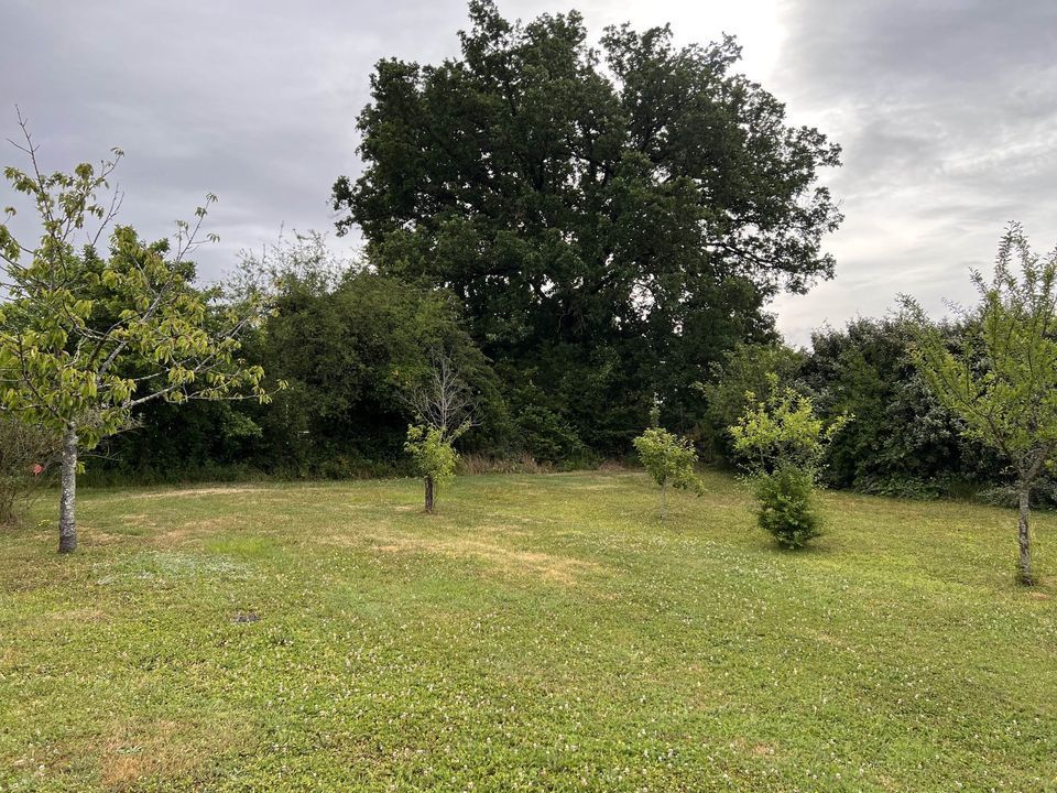 Charmant terrain constructible viabilisé à CHAMPIGNY EN ROCHEREAU