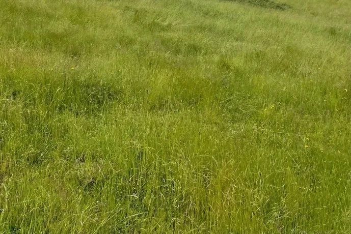 Offre de terrain à batir viabilisé à MIGNE-AUXANCES (86440)