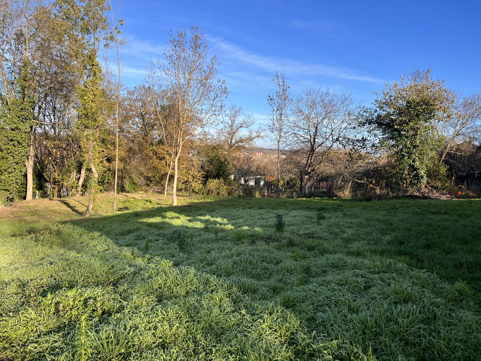 terrain viabilisé de 1002m2 en vente à MAGNAC-SUR-TOUVRE