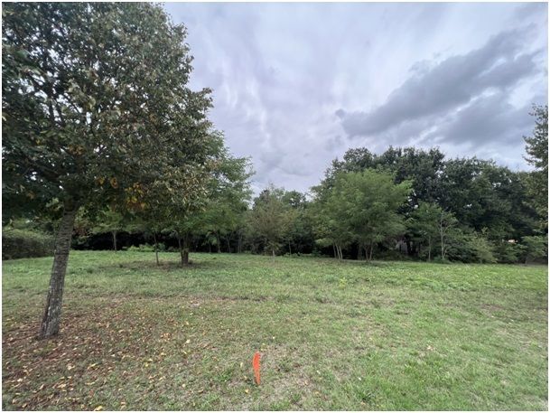 Parcelle de terrain à vendre en vente à SAINT-YRIEIX-SUR-CHARENTE (16710)