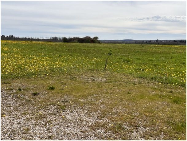 terrain viabilisé disponible à SAINT-ANGEAU