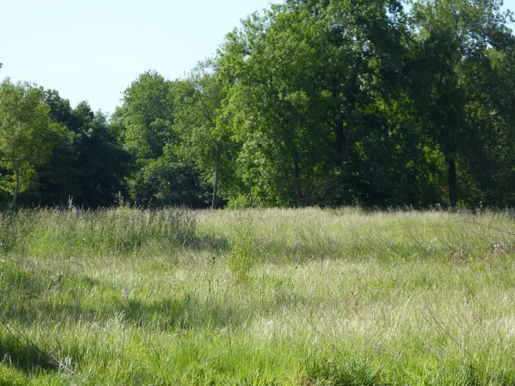 terrain à batir viabilisé de 608m2 à FONTENAY-LE-COMTE (85200)