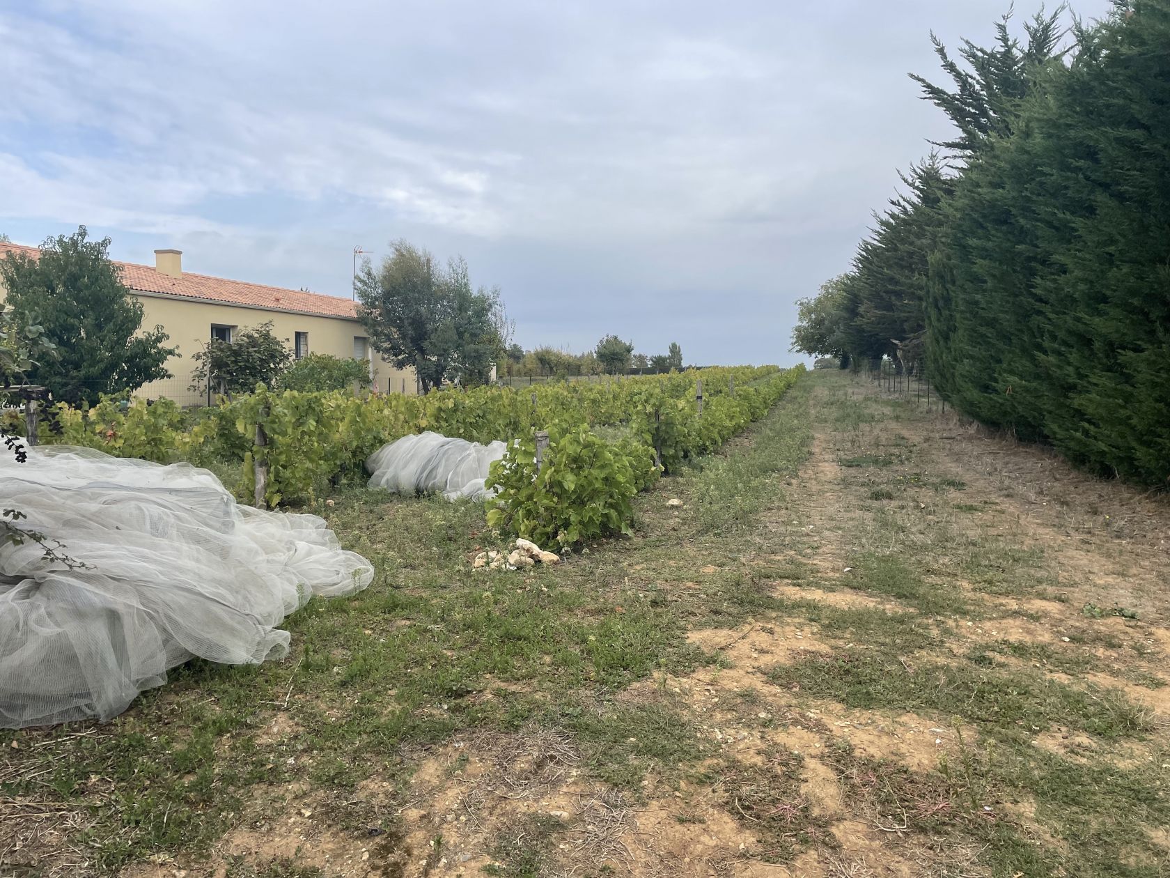 terrain à vendre de 1717m2 à SAINT-AUBIN-LA-PLAINE