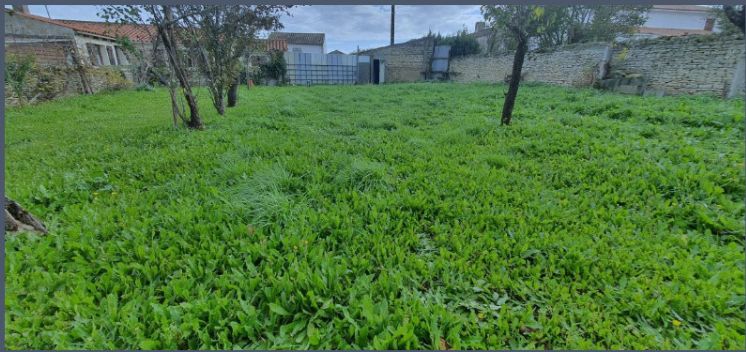 terrain à vendre viabilisé en vente à PUYRAVAULT