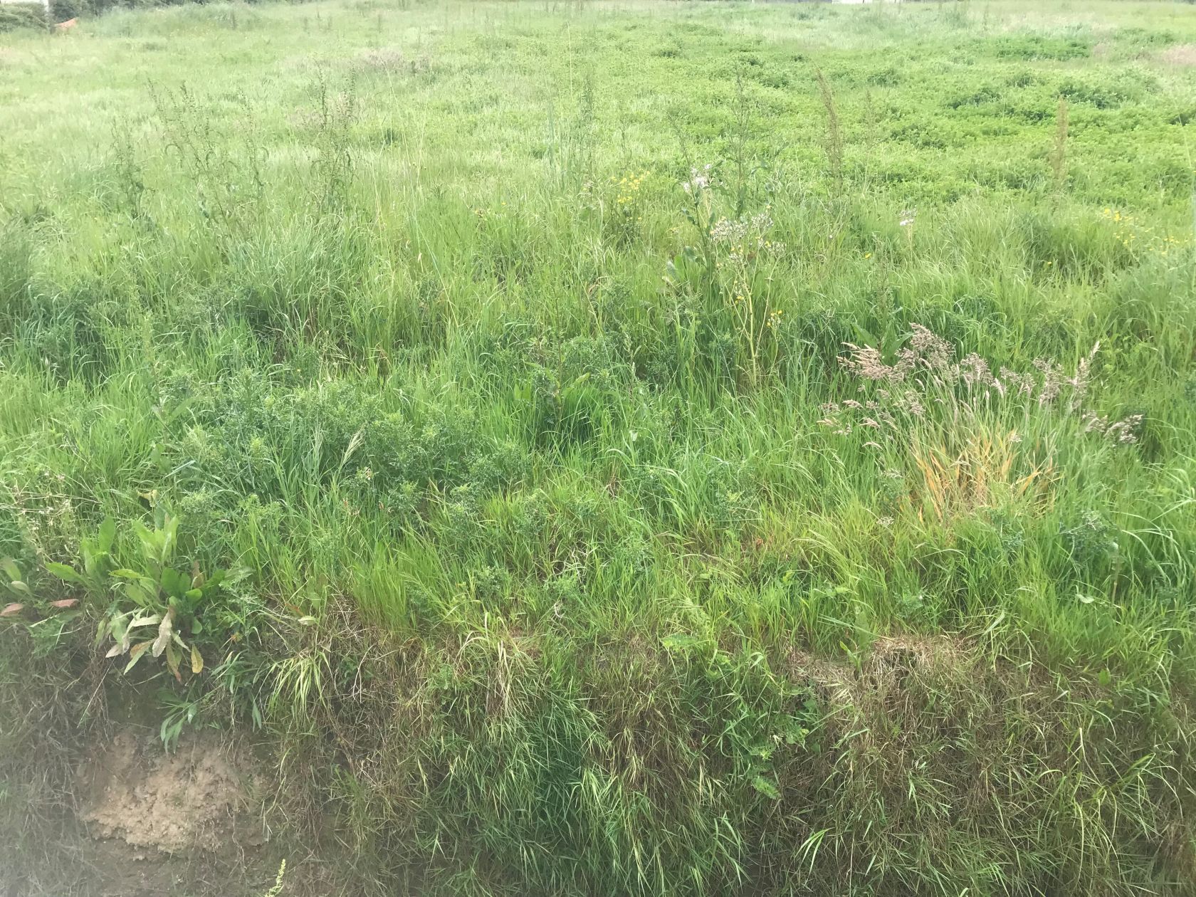 Parcelle de terrain à vendre viabilisé disponible à GUERANDE (44350)