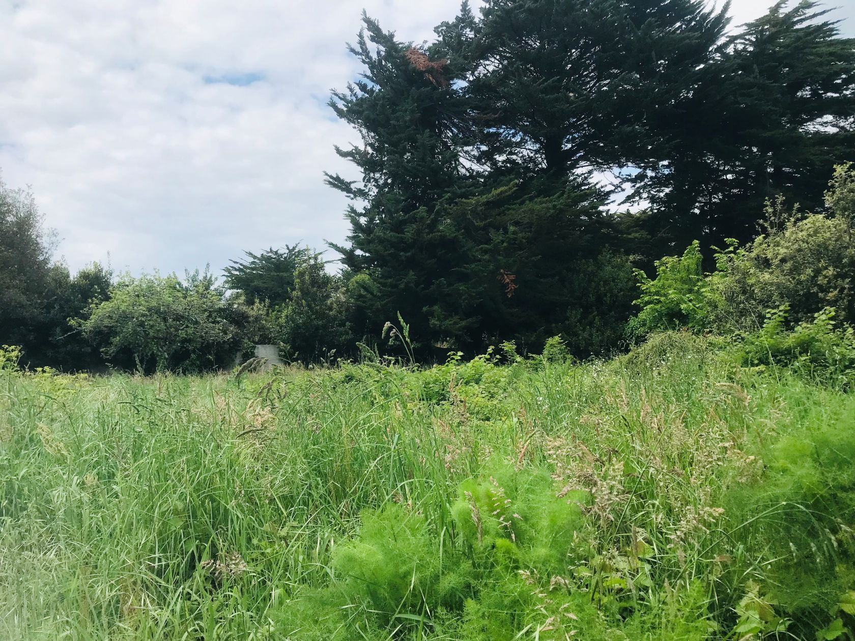 Acheter un terrain constructible viabilisé de 443m2 à LE POULIGUEN