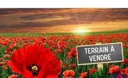 terrain à construire viabilisé en vente à VILLEFARGEAU (89240)