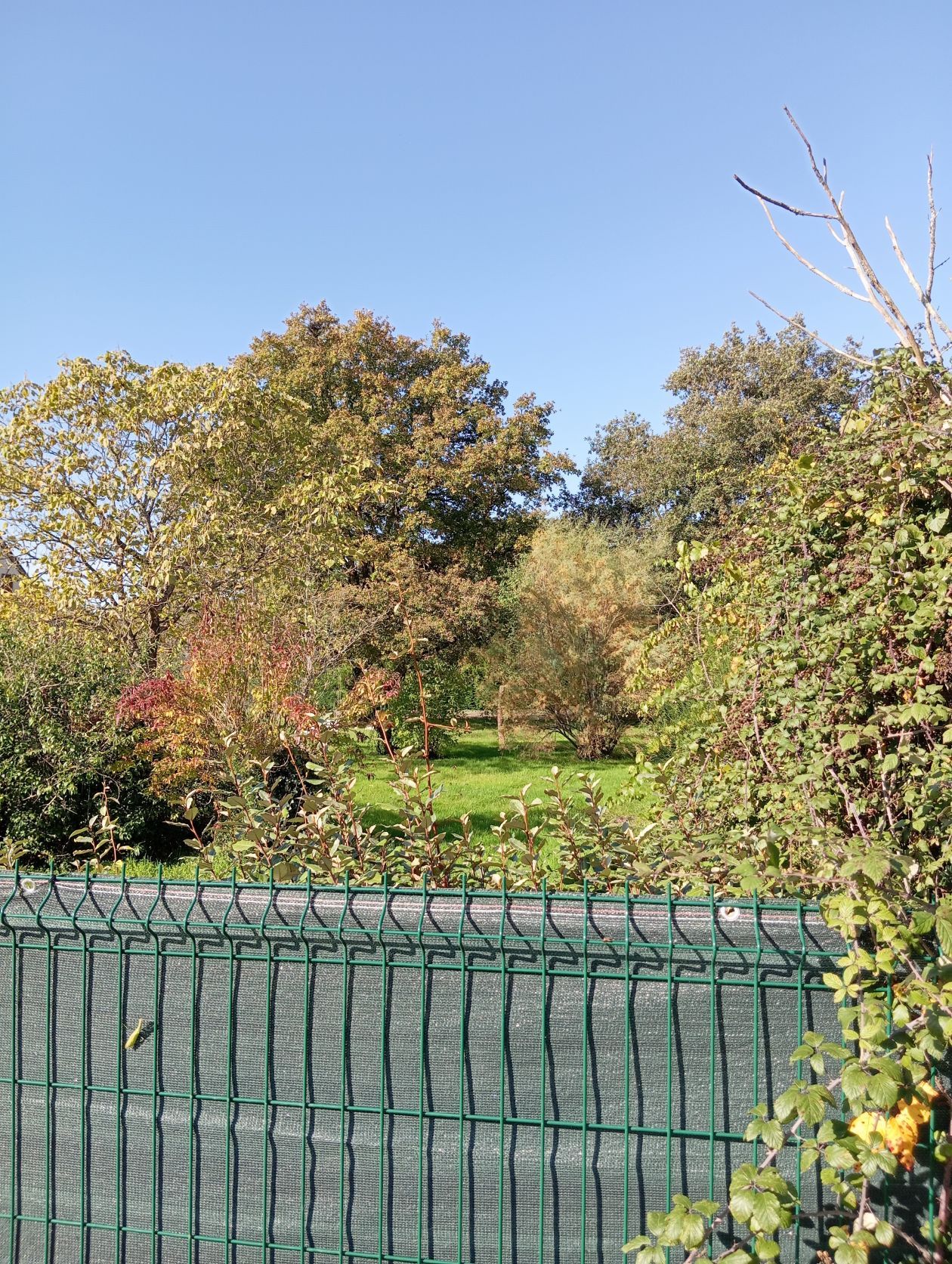 Acheter un terrain à batir à SAINT-MARTIN-D'ABBAT (45110)