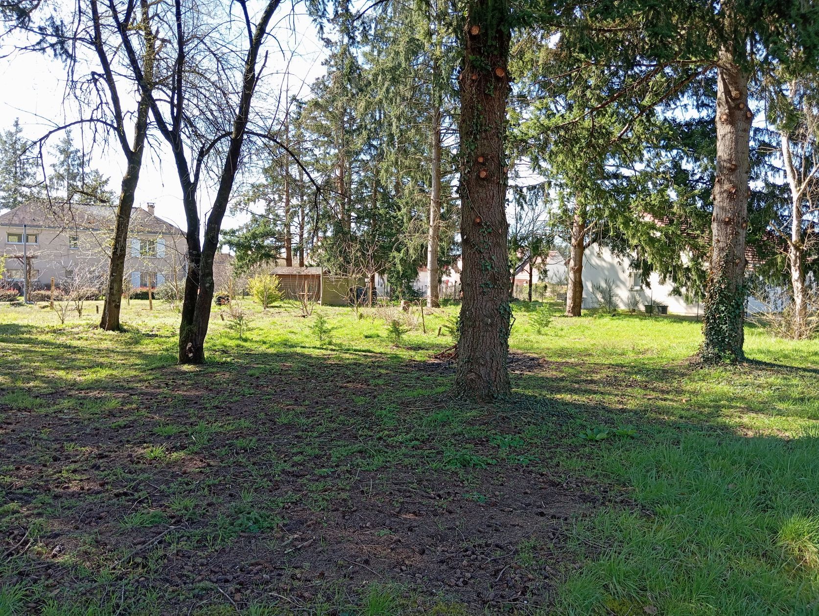 terrain à batir viabilisé de 1230m2 à CHATEAUNEUF-SUR-LOIRE (45110)