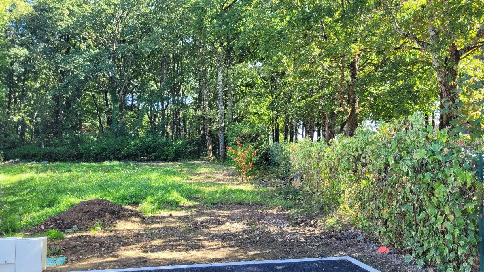 terrain à batir en vente à ORVAULT (44700)