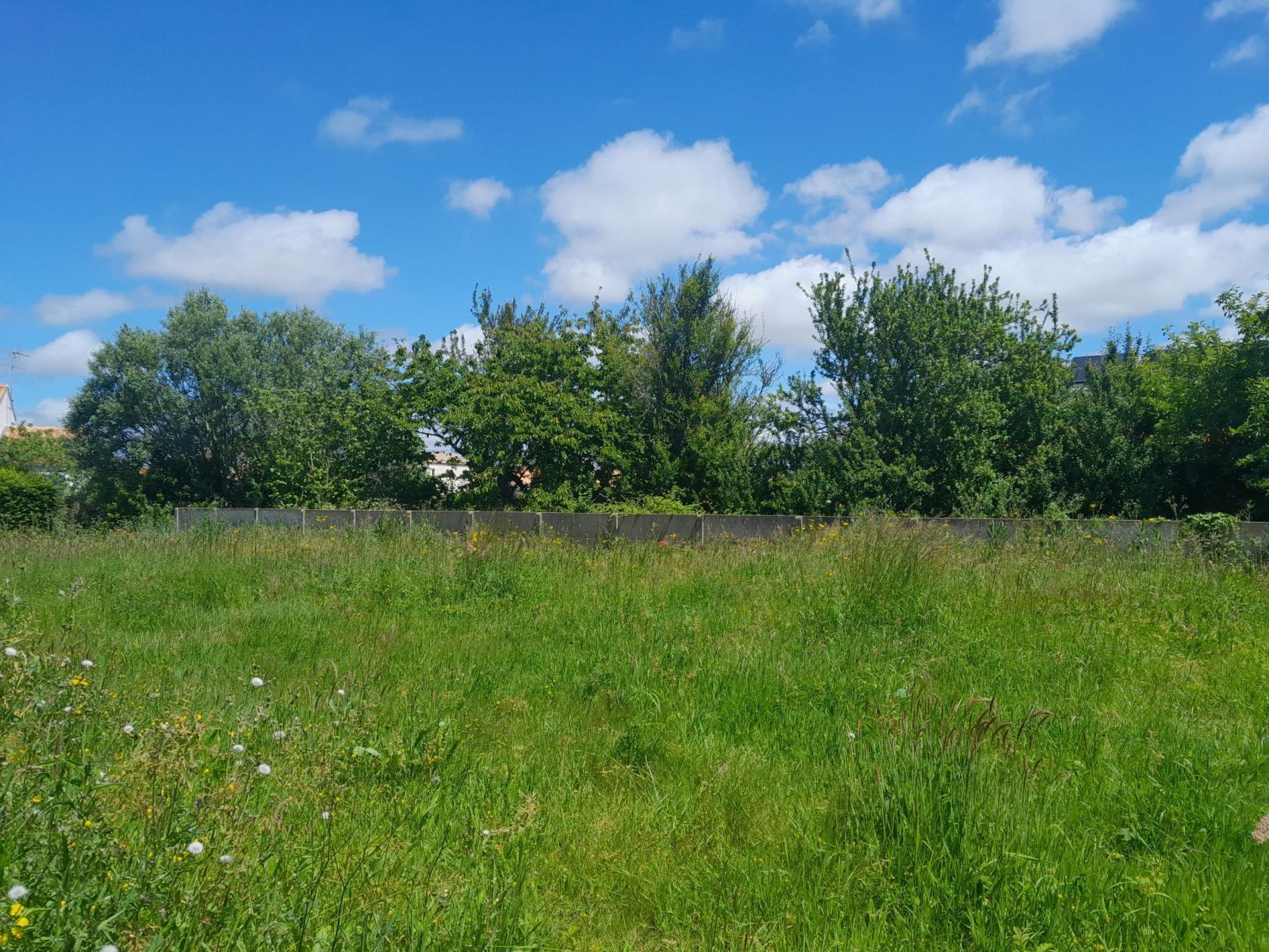 terrain à vendre de 482m2 à LES SABLES-D'OLONNE (85100)