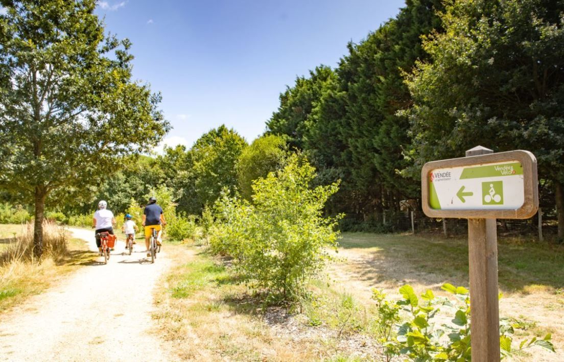 Agréable terrain constructible disponible à LA MOTHE-ACHARD