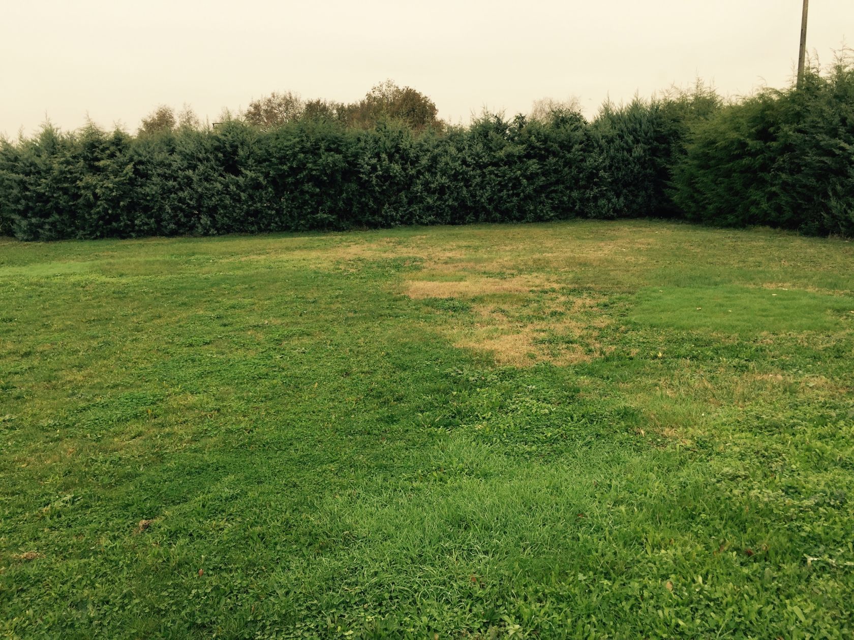 terrain à batir viabilisé de 290m2 disponible à SAVIGNY-SUR-ORGE (91600)