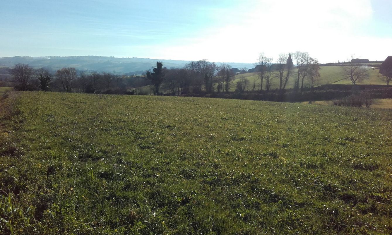 Très beau terrain à construire viabilisé disponible à CASTANET