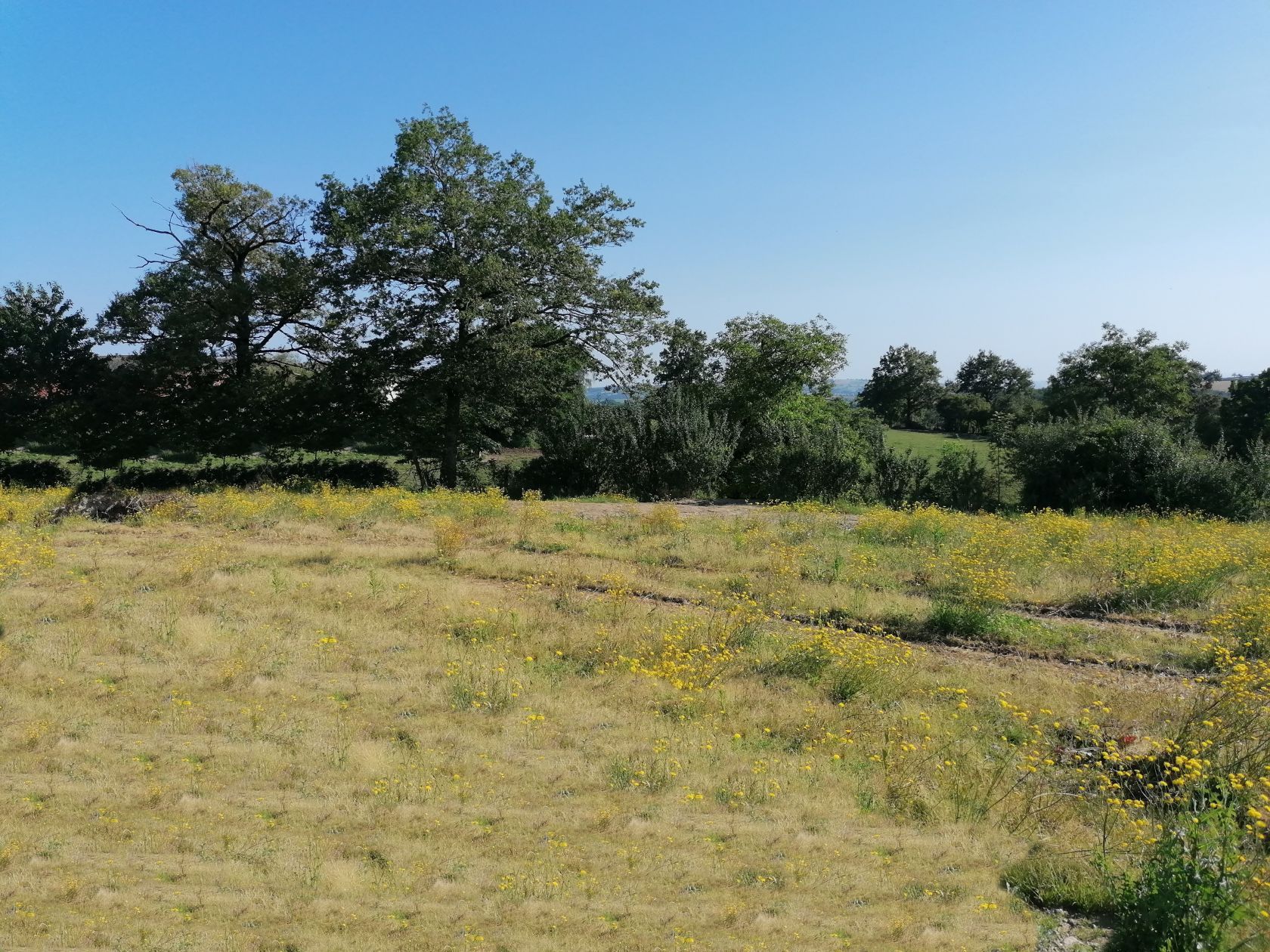 terrain à construire viabilisé de 992m2 disponible à COLOMBIES (12240)
