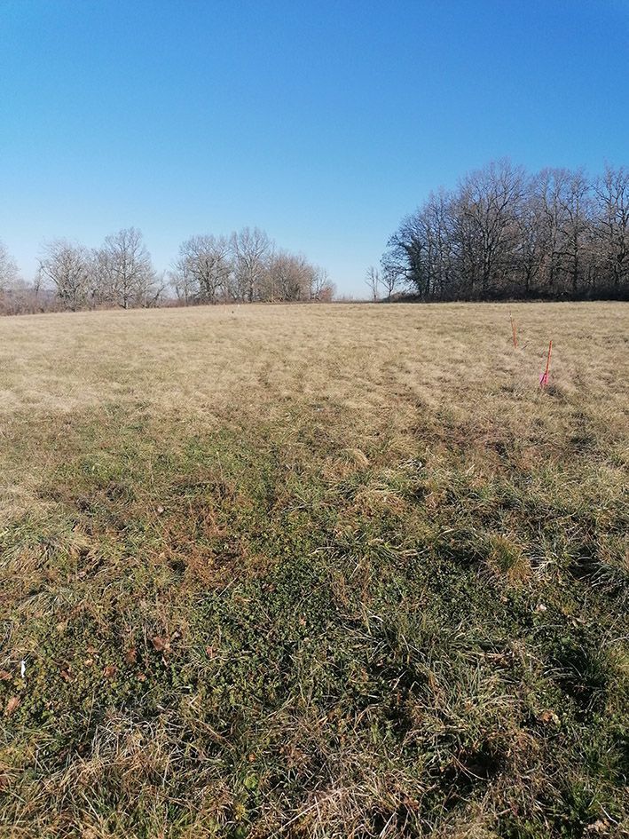 terrain à vendre disponible à VAILHOURLES