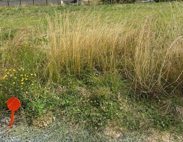 terrain constructible viabilisé en vente à OULMES (85420)