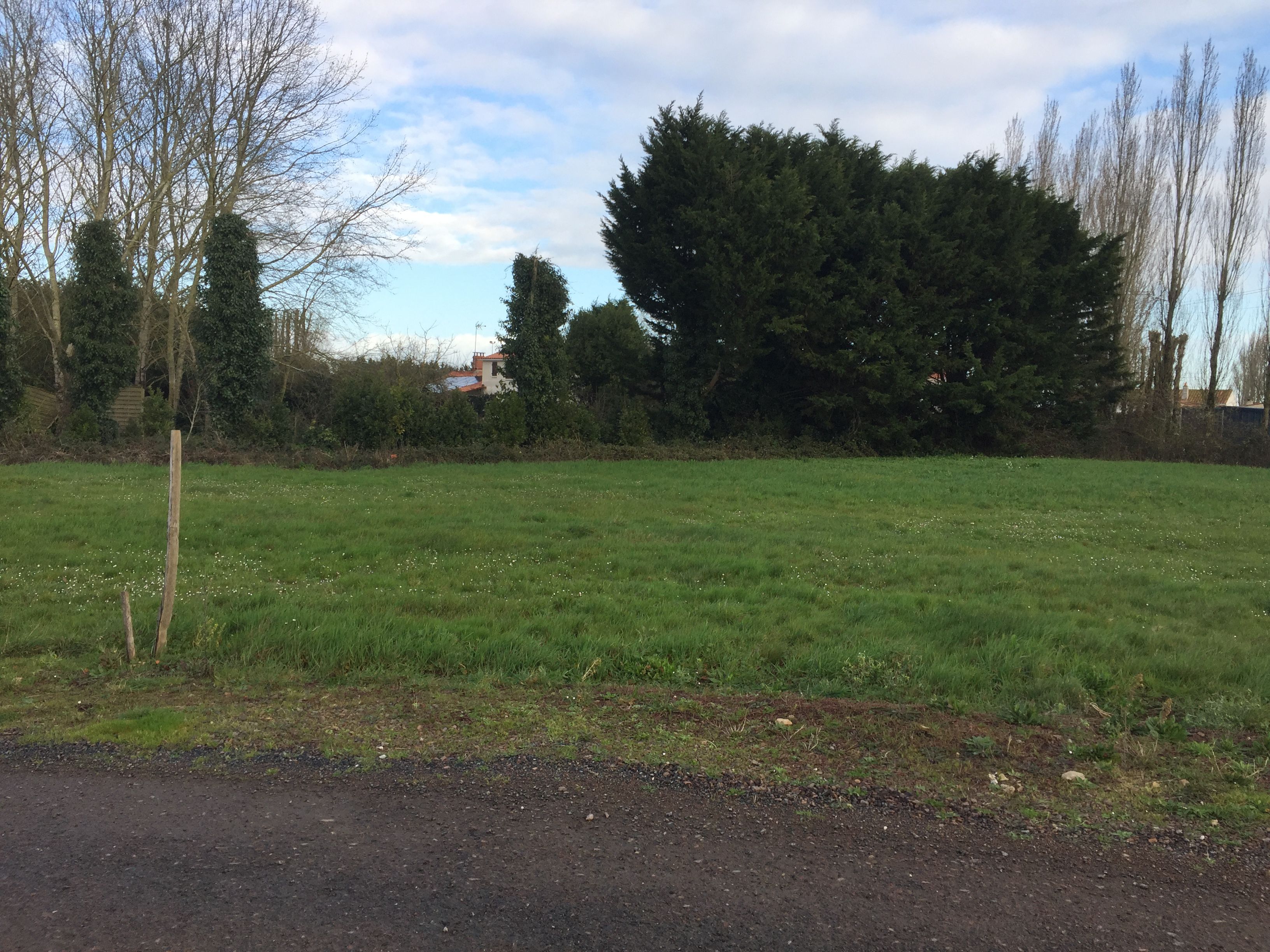 terrain à construire viabilisé à CHAMPAGNE-LES-MARAIS (85450)