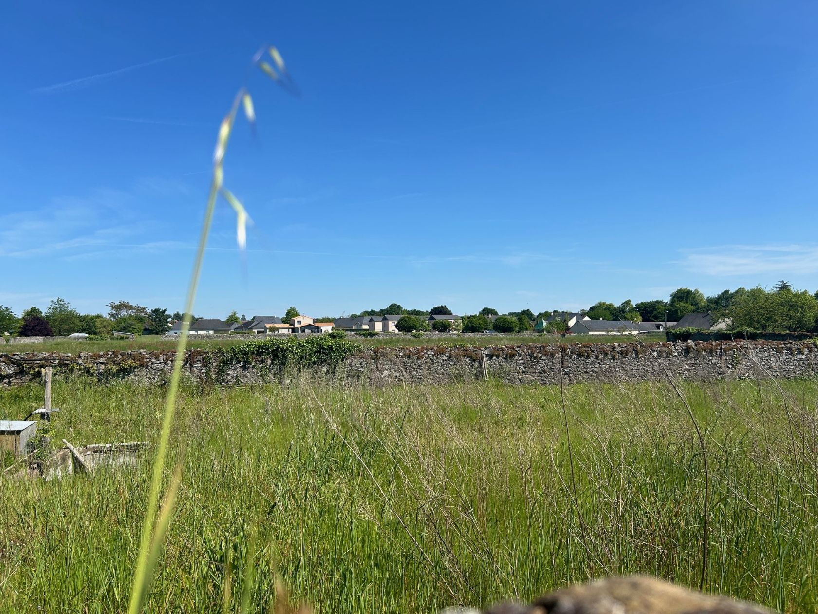 Sublime terrain constructible viabilisé de 364m2 à LA POMMERAYE (49620)