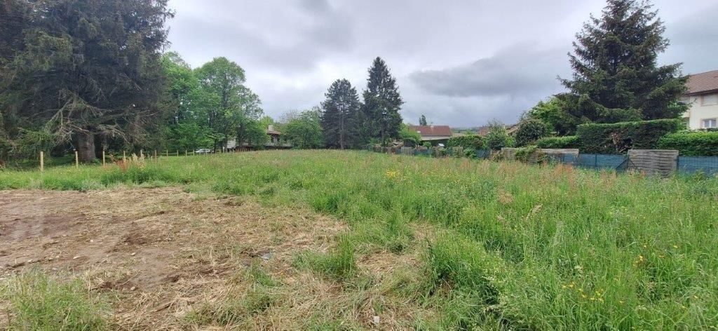 terrain viabilisé en vente à VALLEIRY (74520)