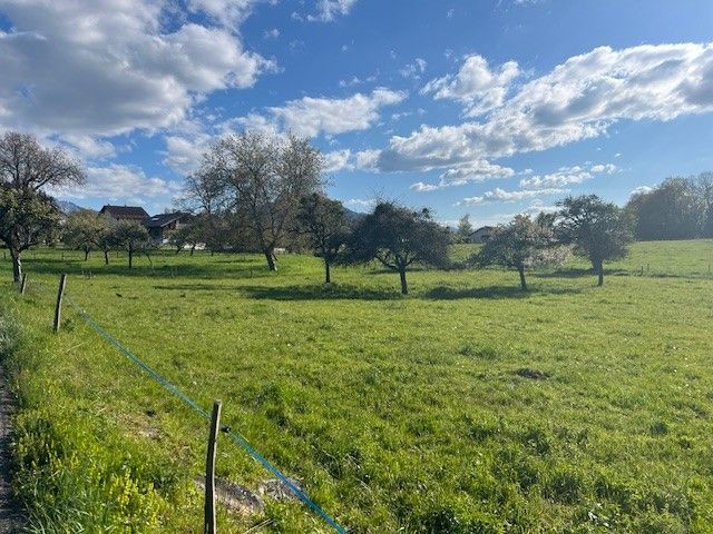 terrain à vendre de 689m2 à THONON-LES-BAINS (74200)