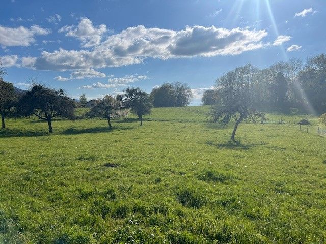 terrain disponible à LARRINGES (74500)