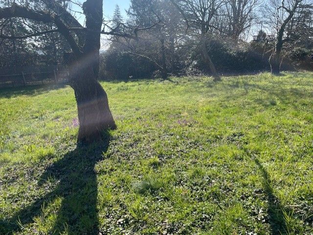 terrain à vendre en vente à CHAPONOST (69630)