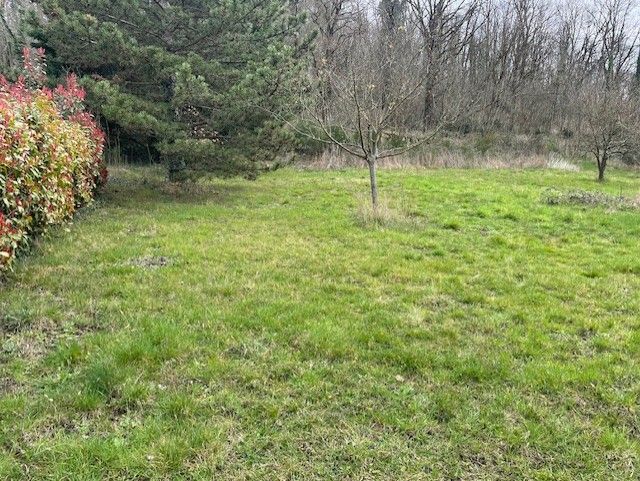 Ravissant terrain constructible de 2000m2 en vente à BRIGNAIS