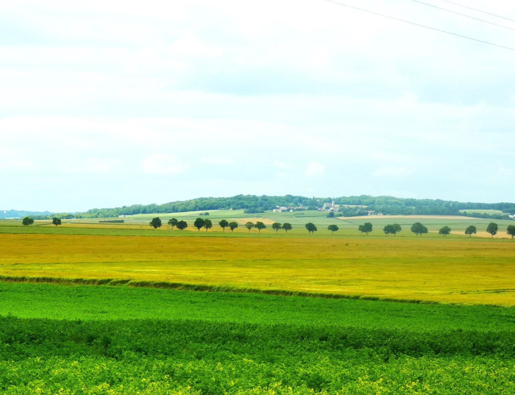 Beau terrain à vendre disponible à FRESNE-LES-REIMS (51110)