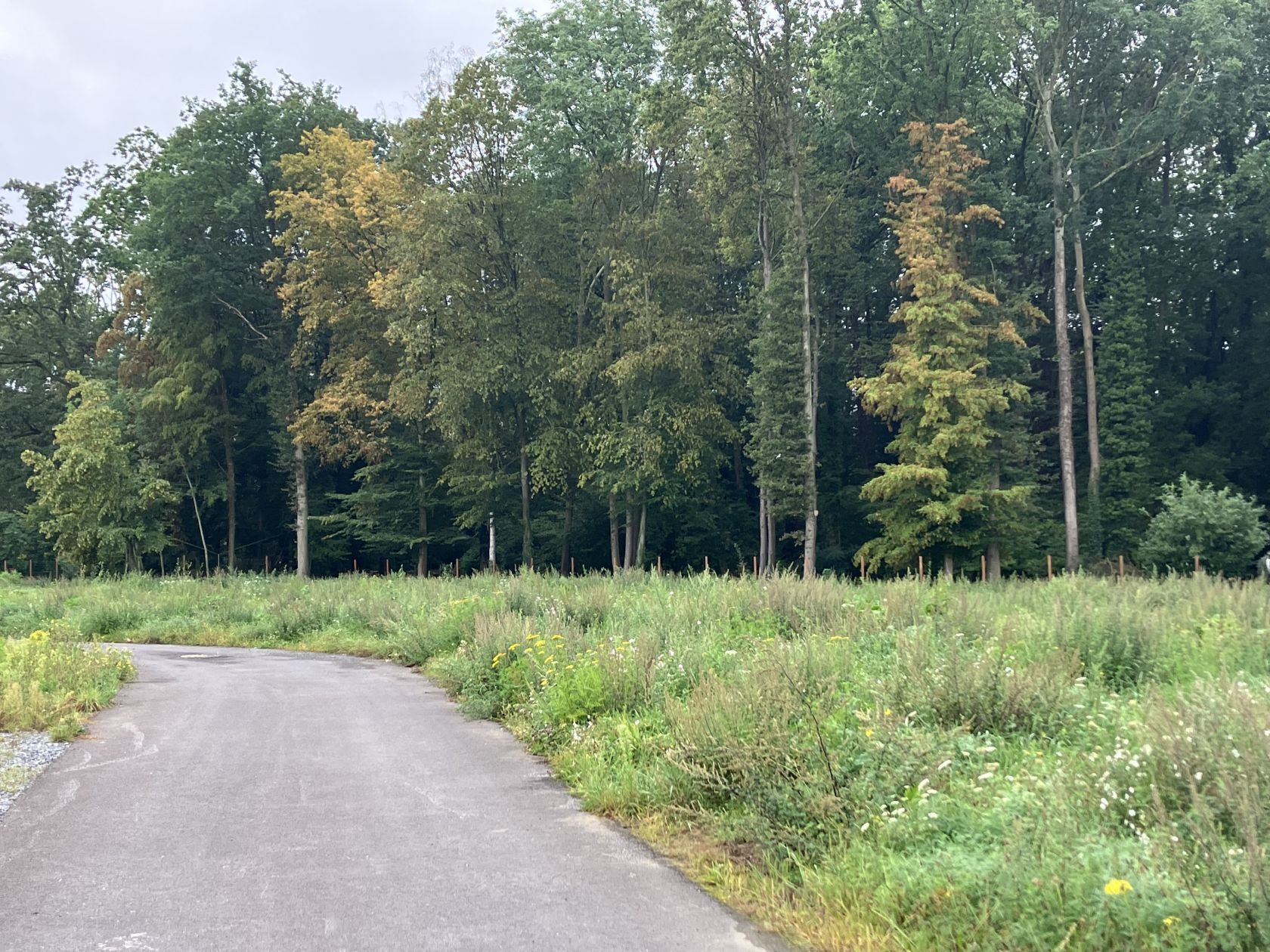 terrain viabilisé de 640m2 disponible à CHAMANT (60300)