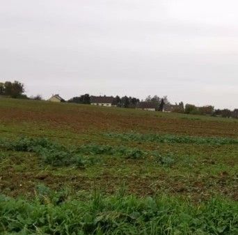 terrain à vendre viabilisé à CAMELIN (02300)