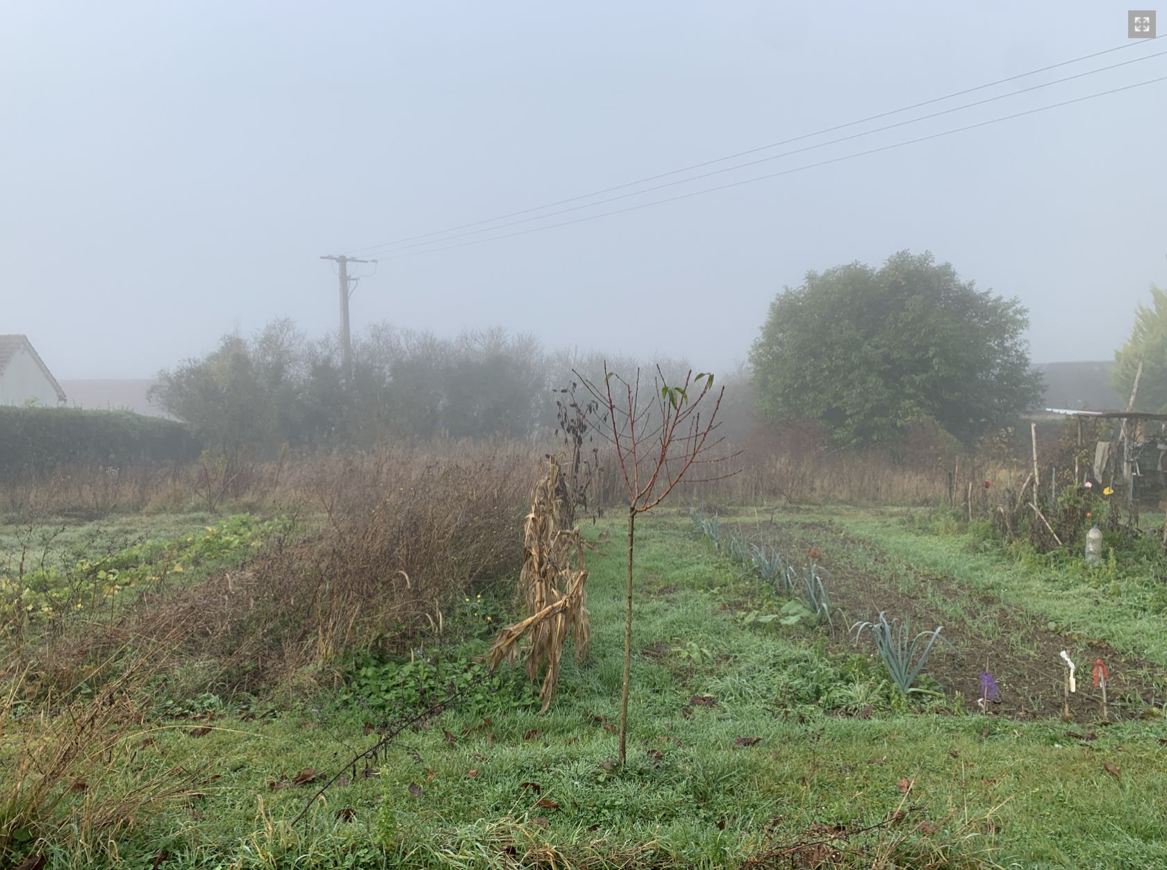 terrain à vendre viabilisé à MONTIGNY-LENGRAIN