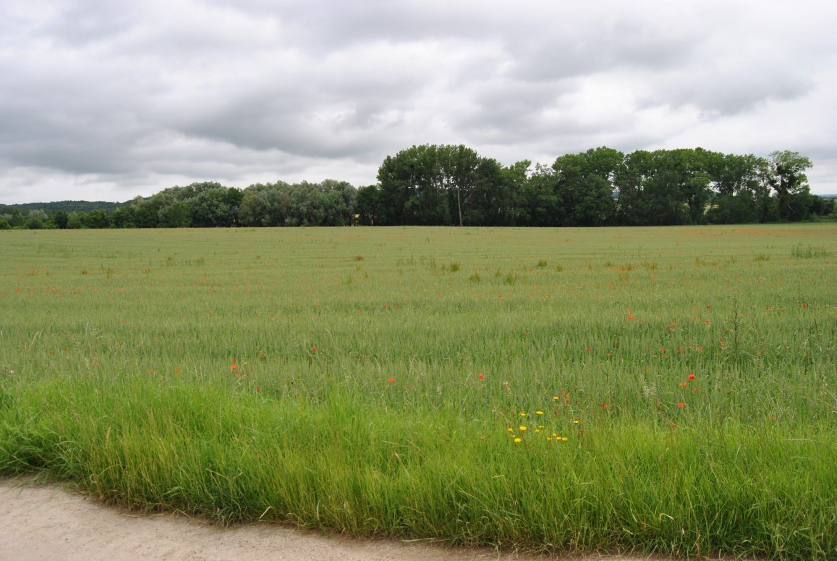 terrain à construire de 500m2 en vente à RIBECOURT-DRESLINCOURT (60170)