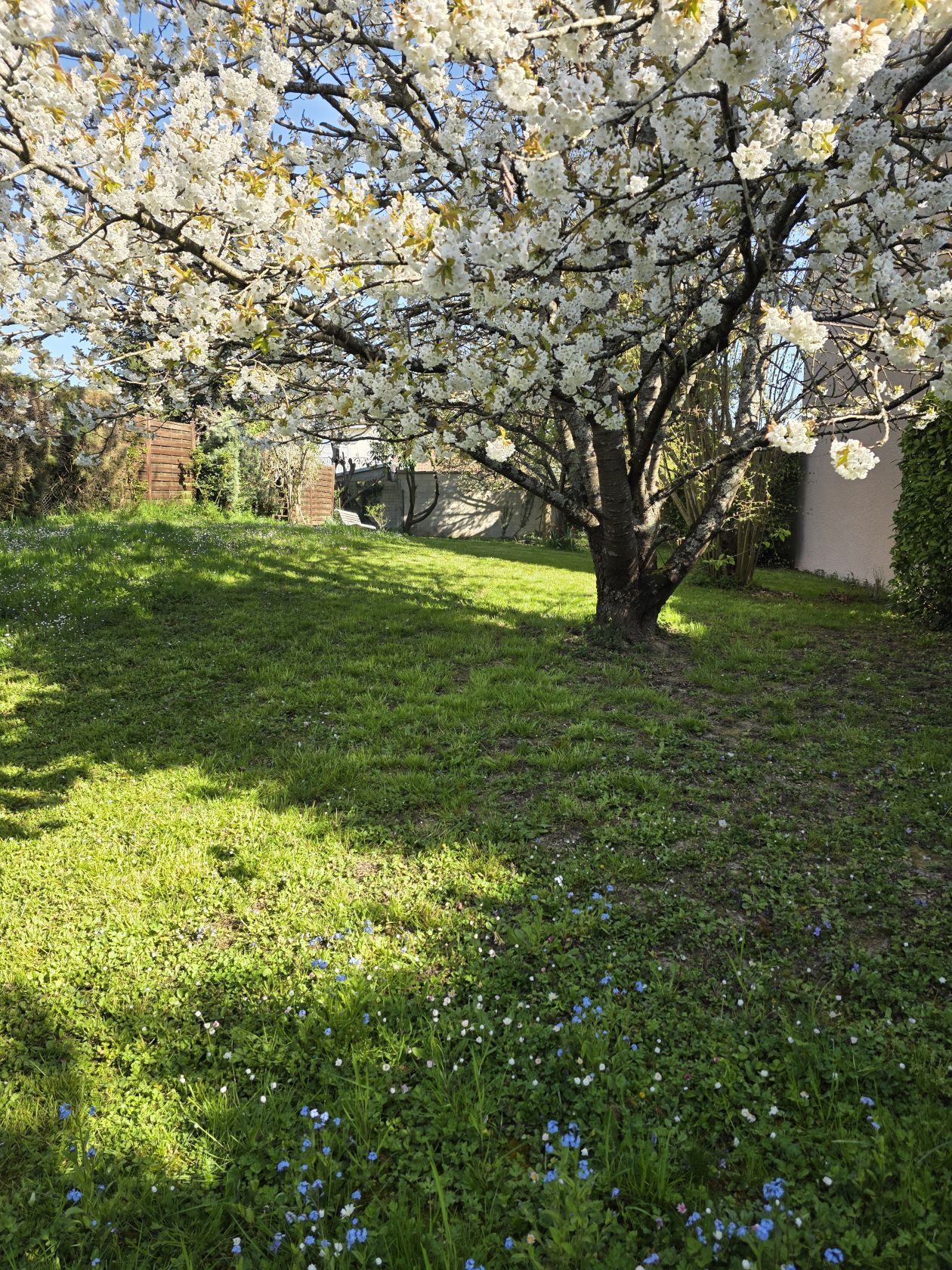 terrain à construire de 405m2 disponible à SAINT-MARD