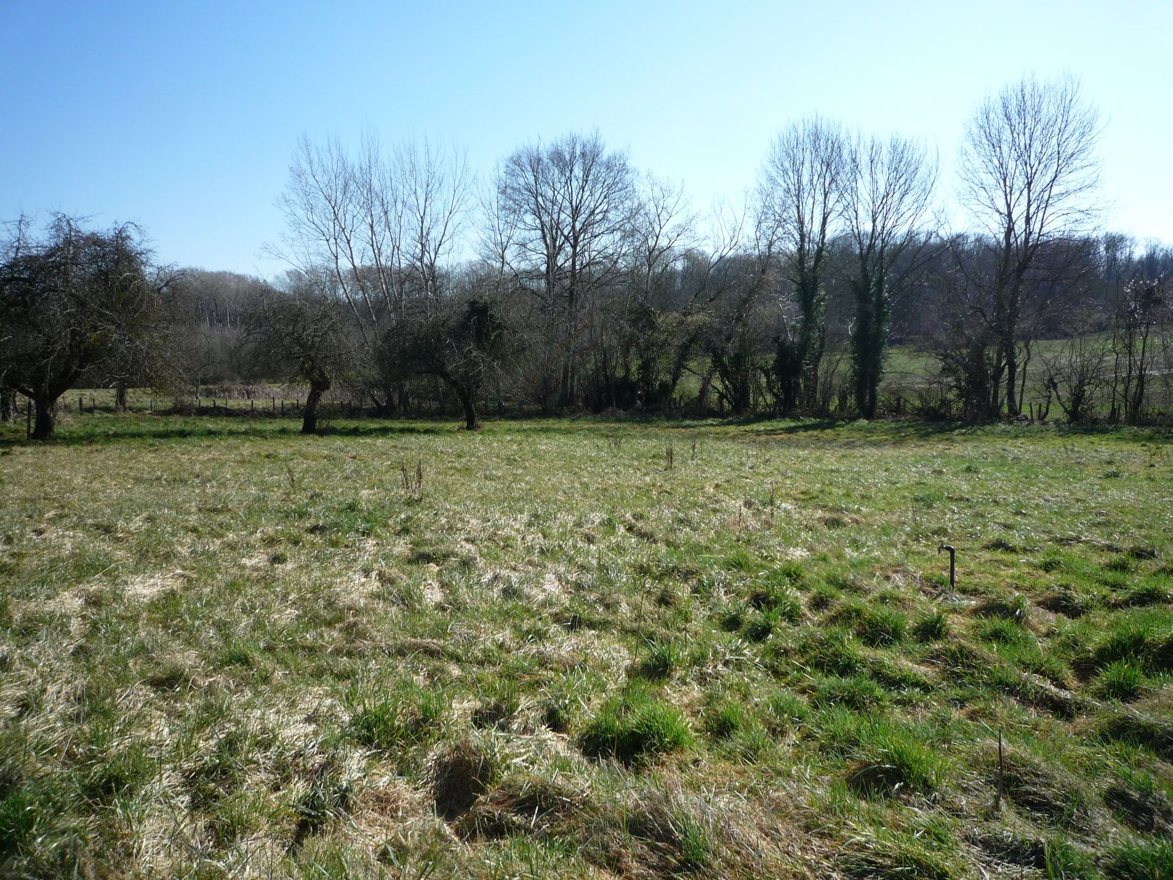 terrain constructible viabilisé de 1160m2 à ESSOMES-SUR-MARNE