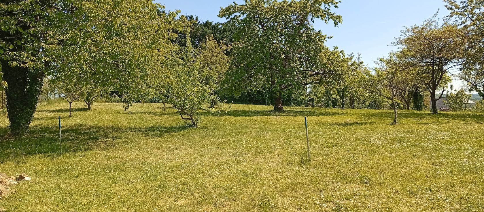 Charmant terrain viabilisé disponible à BUCY-LE-LONG