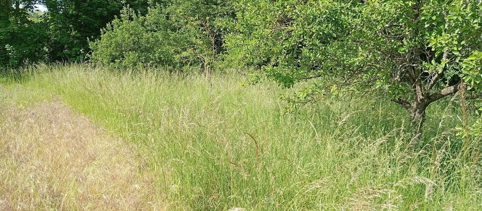 Très beau terrain à batir viabilisé à SOISSONS (02200)