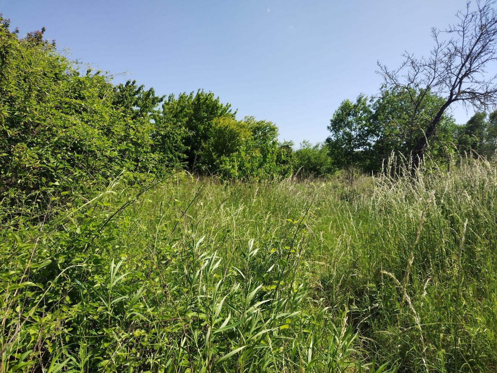 Ravissant terrain viabilisé de 800m2 en vente à SOISSONS