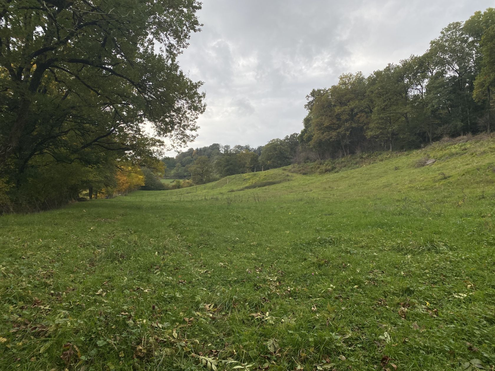 Offre de terrain à construire disponible à AURILLAC