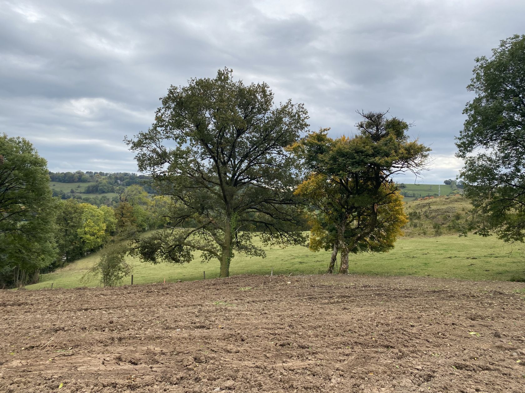 Superbe terrain constructible disponible à AURILLAC (15000)