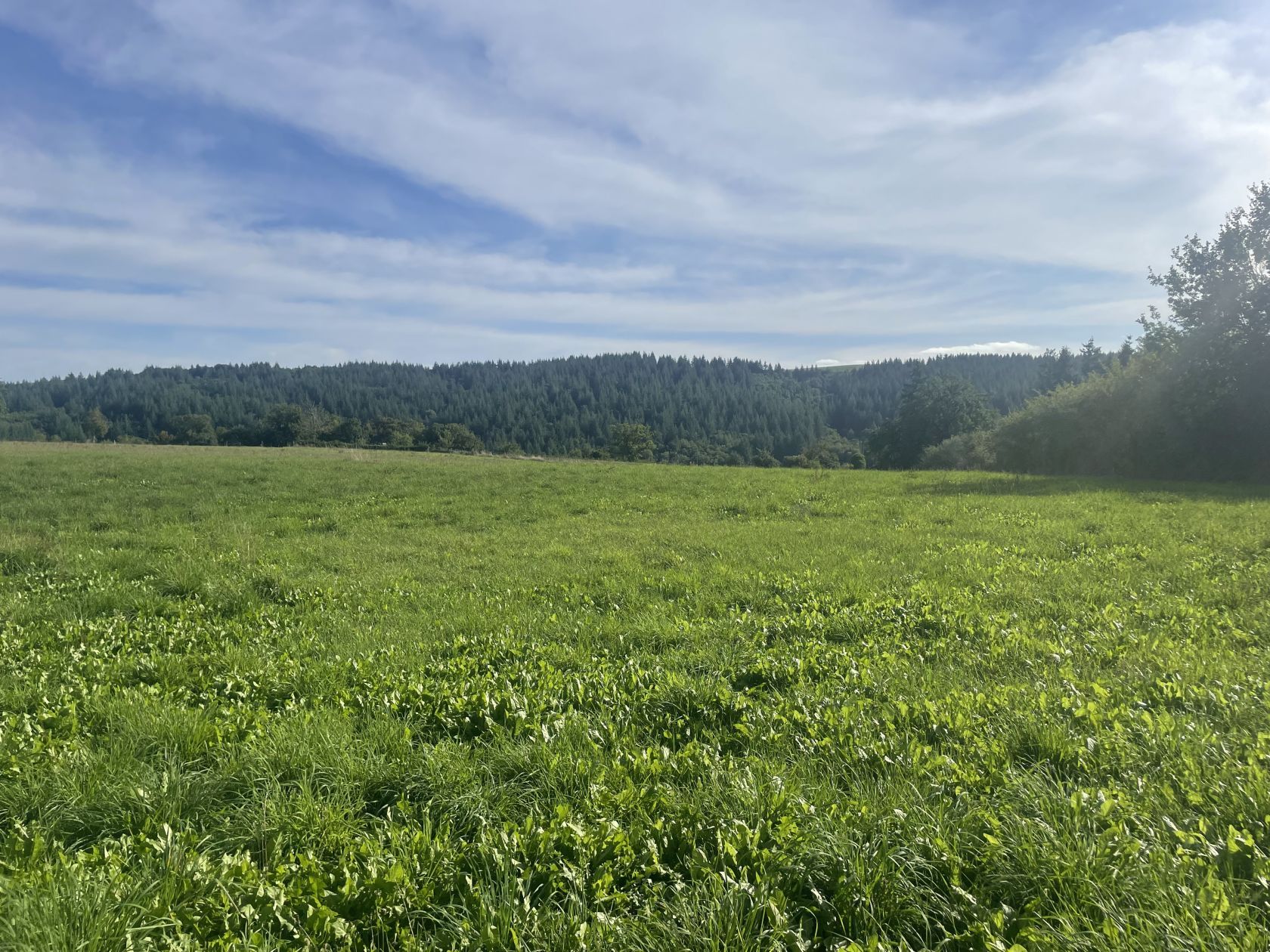 terrain constructible disponible à ROANNES-SAINT-MARY